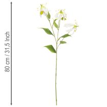 daiktų Dirbtinė Gloriosa gėlė, balta ir geltona, elegantiškai žydinti šakelė dekoracijai, 80 cm, 3 vnt.