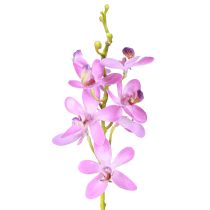 daiktų Dirbtinės orchidėjos 8 violetinės gėlės Ø3,5cm–5cm 2vnt