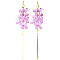 daiktų Dirbtinės orchidėjos 8 violetinės gėlės Ø3,5cm–5cm 2vnt