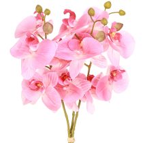 daiktų Dirbtinės Orchidėjos Rožinės Dirbtinės Gėlės Like Real 56cm 3 Vnt