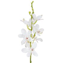 daiktų Dirbtinės orchidėjos Baltoji gėlė Ø3,5–5cm L38cm 2vnt.