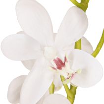 daiktų Dirbtinės orchidėjos Baltoji gėlė Ø3,5–5cm L38cm 2vnt.