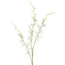 daiktų Dirbtinės orchidėjų šakelės kremas Baltos gėlės L90cm 2vnt