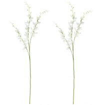daiktų Dirbtinės orchidėjų šakelės kremas Baltos gėlės L90cm 2vnt