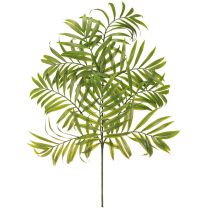 daiktų Dirbtinės palmės lapeliai Dirbtiniai žalieji augalai 56cm 3vnt