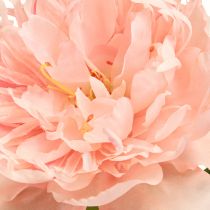 daiktų Dirbtiniai bijūnai Pink Paeonia Salmon L60cm 2vnt