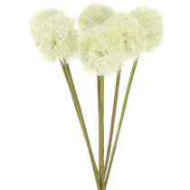 daiktų Dirbtinės kiaulpienės dirbtinės gėlės baltos 48cm 12vnt