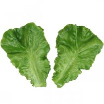 Deco salotos Dirbtinių salotų lapų salotų maisto replika 16×11cm