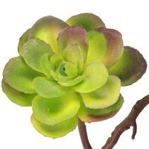 daiktų Dirbtiniai sukulentai su stiebu žalia violetine asorti 32cm 2vnt