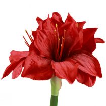 Dirbtinės Amaryllis Kalėdinės gėlės Raudonos Dirbtinės gėlės L40cm