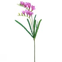 daiktų Dirbtinės sodo gėlės frezijos violetinės 58cm