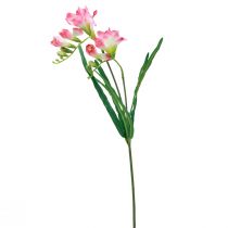 daiktų Dirbtinės sodo gėlės Fresia Pink 58cm