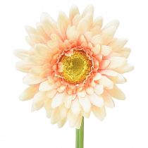 Dirbtinės gėlės Gerbera Abrikosas 47cm