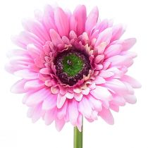 daiktų Dirbtinės gėlės Gerbera Garden Dirbtinės gėlės Rožinės 47cm