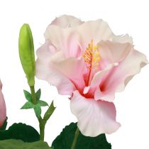 daiktų Dirbtinės gėlės Hibiscus Pink 62cm