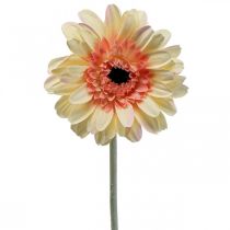 Dirbtinė gerberos gėlė dirbtinė gėlė abrikosas Ø11cm L50cm