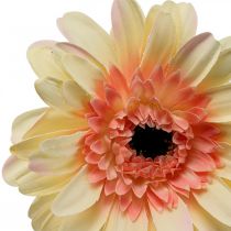 daiktų Dirbtinė gerberos gėlė dirbtinė gėlė abrikosas Ø11cm L50cm