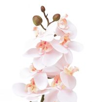 daiktų Dirbtinė Orchid Pink Phalaenopsis Real Touch 58cm