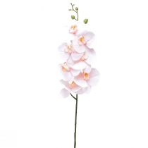 daiktų Dirbtinė Orchid Pink Phalaenopsis Real Touch 83cm