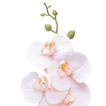 daiktų Dirbtinė Orchid Pink Phalaenopsis Real Touch 83cm