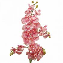 Dirbtinės orchidėjos deco dirbtinių gėlių orchidėja rožinė 71cm