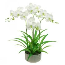 daiktų Dirbtinės orchidėjos dirbtinės gėlės baltame vazone 60cm