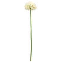 daiktų Dirbtinis Allium kreminis baltas dekoratyvinis svogūnas Ø18cm L90cm