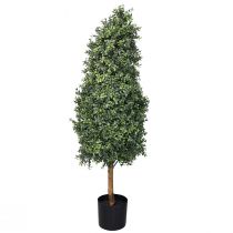daiktų Dirbtinis buksmedis vazone Box dirbtinis augalas H120cm