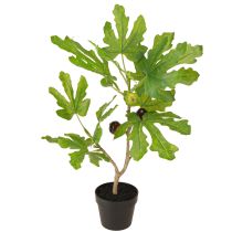 daiktų Dirbtinis figmedis vazone Dirbtinis augalas su vaisiais 40cm