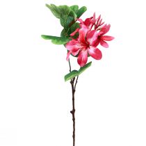 Dirbtinė orchidėjos šakelė Bauhinia Pink dirbtinis augalas 62cm