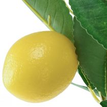 daiktų Dirbtinis citrinmedis vazone Viduržemio jūros H58cm