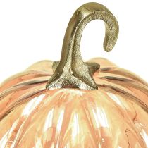 daiktų Moliūgo dekoracija stiklinė stiklinė moliūgų stalo dekoracija oranžinė Ø14cm A18cm