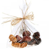 daiktų Deco moliūgų dekoravimo kamštis oranžinis, rudas minkštas Ø6,5m 9 vnt