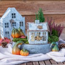 Pumpkin Deco kūgiai rudens lapai rudeninis dekoravimas 5-11 cm rinkinys