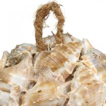 daiktų Dekoratyvinis rutulinis sraigių kriauklių dekoravimas, pakabinamas natūralus Ø12cm