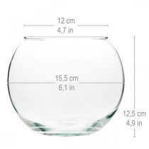 daiktų Rutulinė vaza Stiklo vaza Skaidri apvalaus stalo vaza Gėlių vaza Ø15,5 cm H12,5 cm