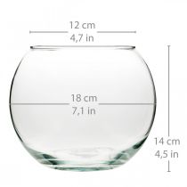 Rutulinė vaza stiklinė vaza skaidri apvali stalinė vaza gėlių vaza Ø18cm H14cm