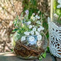 daiktų Rutulinė vaza stiklinė gėlių vaza apvali stiklo dekoracija H10cm Ø11cm