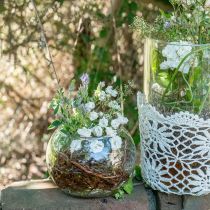 daiktų Rutulinė vaza stiklinė gėlių vaza apvali stiklo dekoracija H11cm Ø15cm