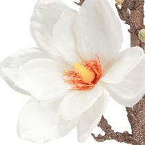 daiktų Dirbtinės gėlės magnolijos šakelės žiedai Ø2–10cm kreminiai L105cm