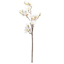 daiktų Dirbtinės gėlės magnolijos šakelės žiedai Ø2–10cm kreminiai L105cm