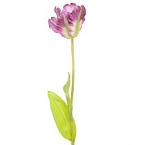 daiktų Dirbtinė gėlė papūgos tulpė dirbtinė dekoratyvinė tulpė violetinė 63cm