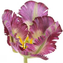daiktų Dirbtinė gėlė papūgos tulpė dirbtinė dekoratyvinė tulpė violetinė 63cm