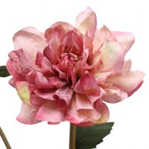 Dirbtinės gėlės jurgino rožinis žiedas su pumpuru H57cm