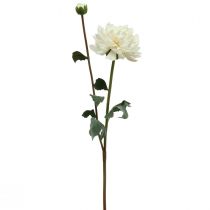 Dirbtinė gėlė Dahlia White Dirbtinė gėlė su pumpuru H57cm