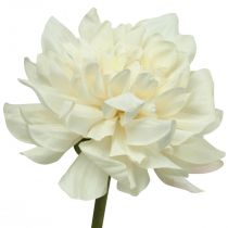 Dirbtinė gėlė Dahlia White Dirbtinė gėlė su pumpuru H57cm