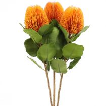 Dirbtinės gėlės, Banksia, Proteaceae Orange L58cm A6cm 3vnt