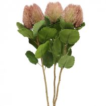 Dirbtinės gėlės, Banksia, Proteaceae balta-violetinė L58cm H6cm