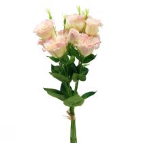 daiktų Dirbtinės gėlės Eustoma Lisianthus rožinė kreminė 52cm 5 vnt