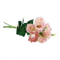 daiktų Dirbtinės gėlės Eustoma Lisianthus rožinė kreminė 52cm 5 vnt